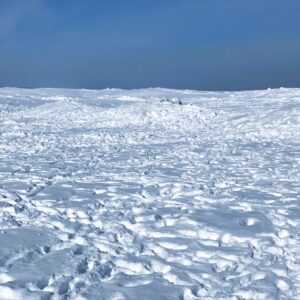 Lake Erie Frozen
