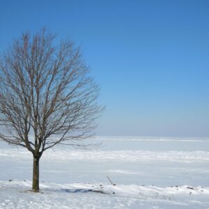 Lake Erie Frozen 3