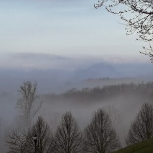 Mist