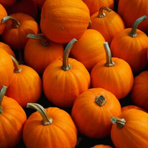 Pumpkin Pile