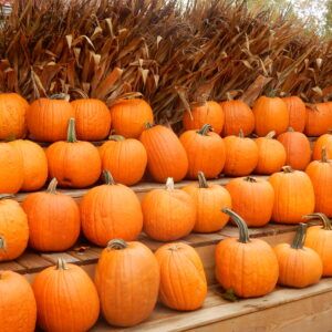 Pumpkins