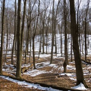 Rocky River Nature Center 1