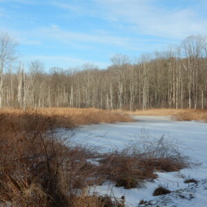Rocky River Nature Center 2