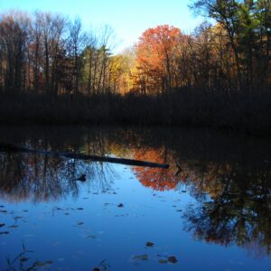 Rocky River Nature Center 3