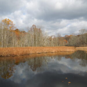 Rocky River Nature Center 4