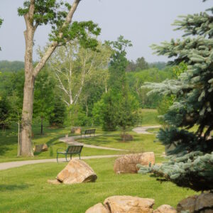 Wheeling Grounds 1
