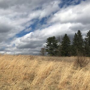 Wheeling Grounds 5