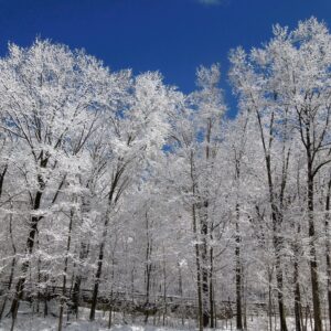 Snowy Rocky River 2